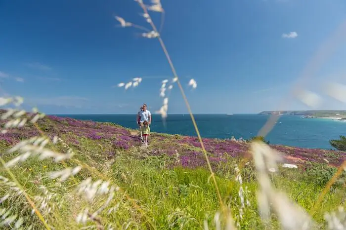 Une famille se promenant sur un sentier côtier au milieu de la lande de bruyère en fleurs, face à la mer sous un ciel bleu.