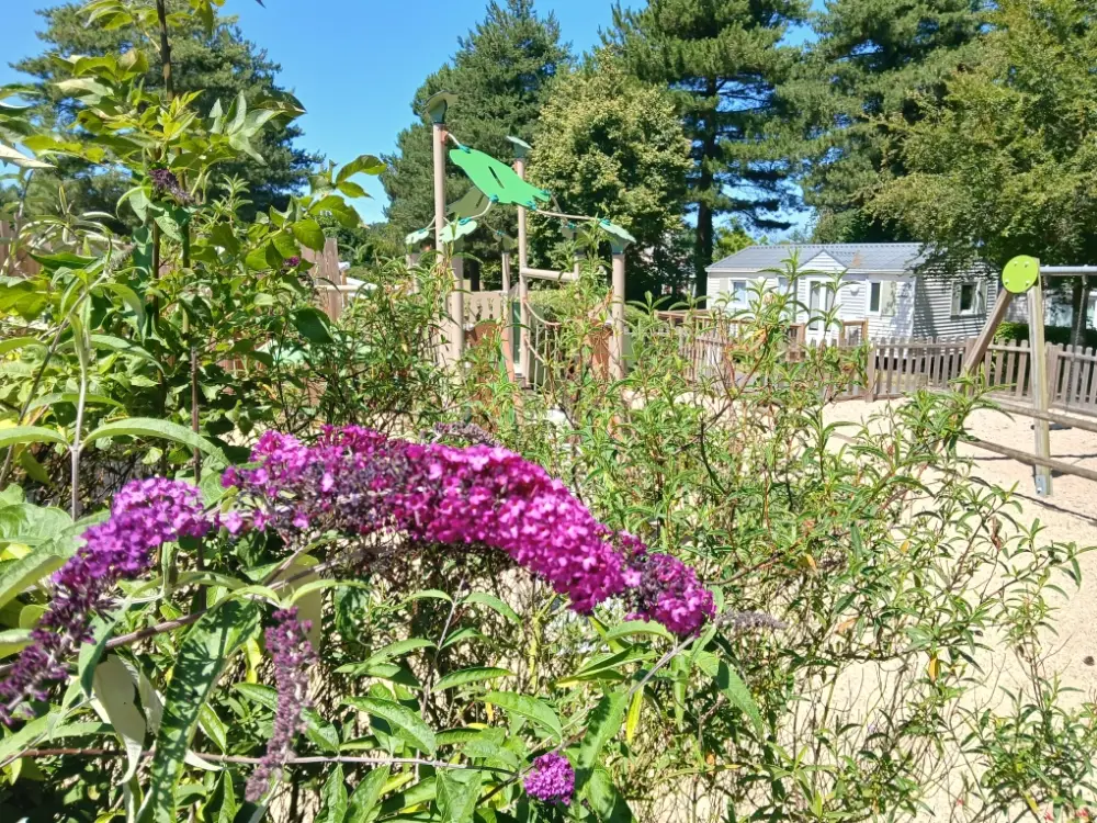 Parc arboré du camping avec structures de loisirs pour enfants et mobil-home en arrière-plan.